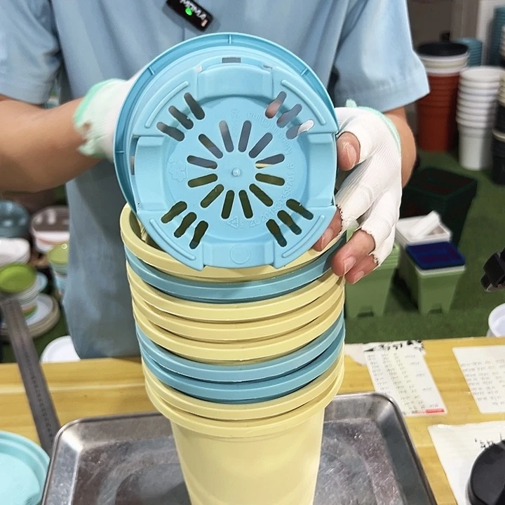 圆控根口15高15混色无托10个