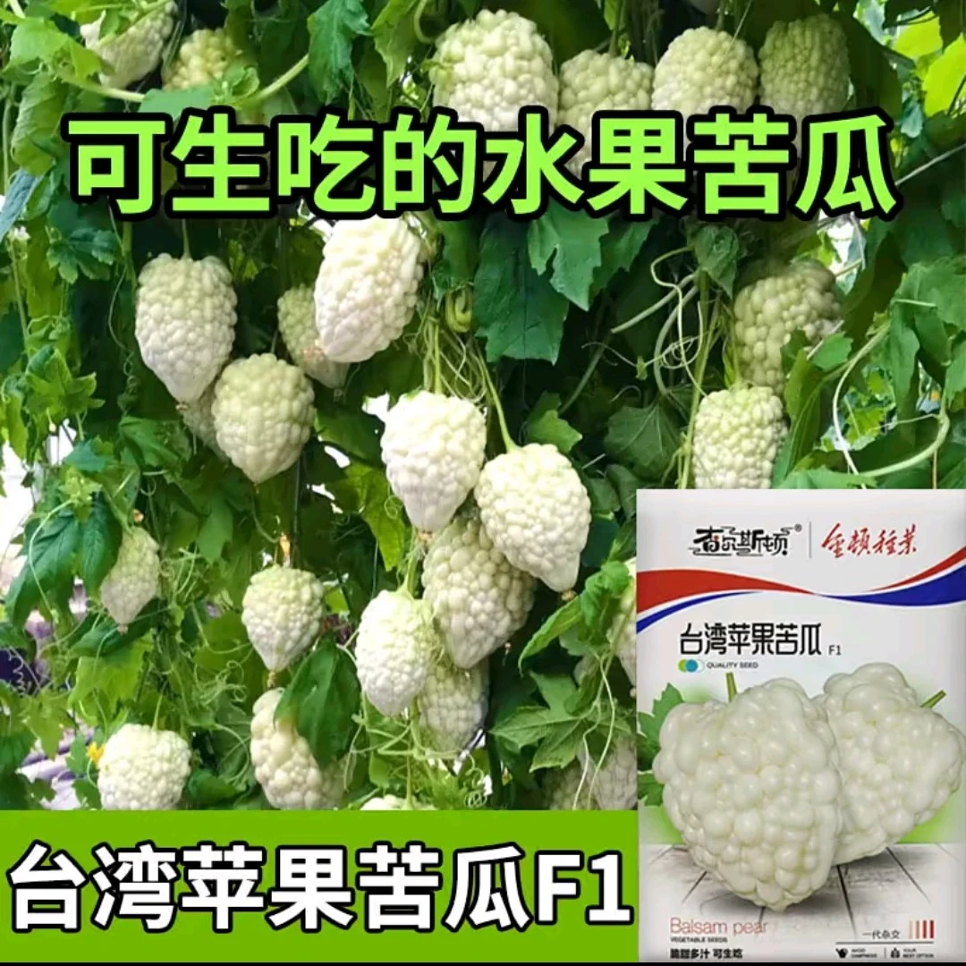 优籽农科种业苹果苦瓜种子籽苦味清淡适中肉厚蔬菜种子籽