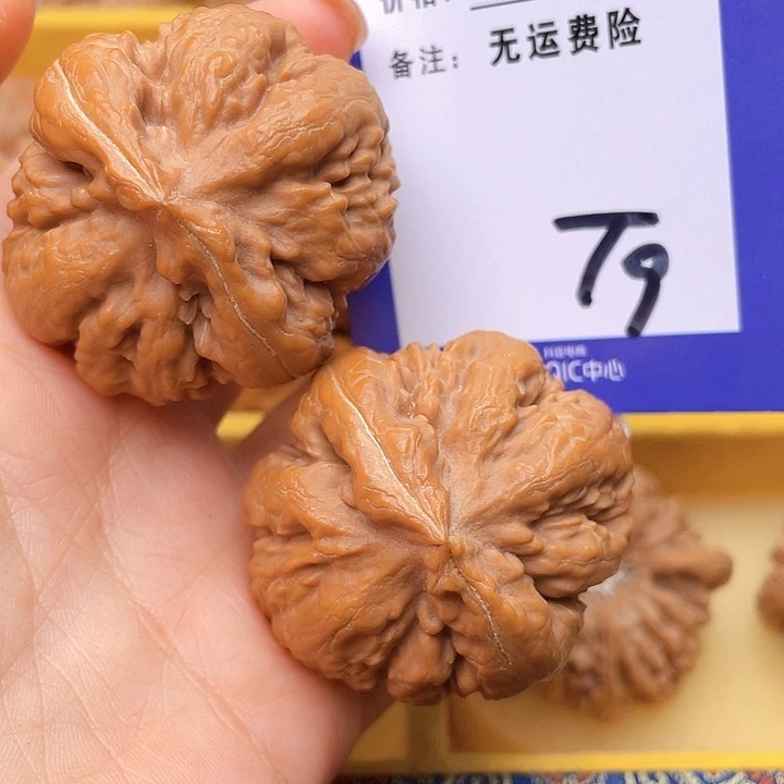 把件文玩核桃张*哥文玩核桃霸王龙9