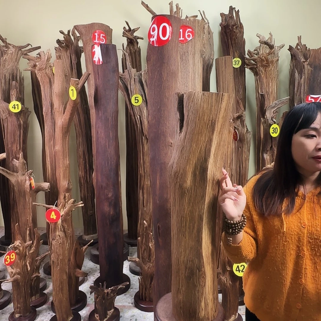 沉香沉香碎屑天然沉香原材料香料熏料