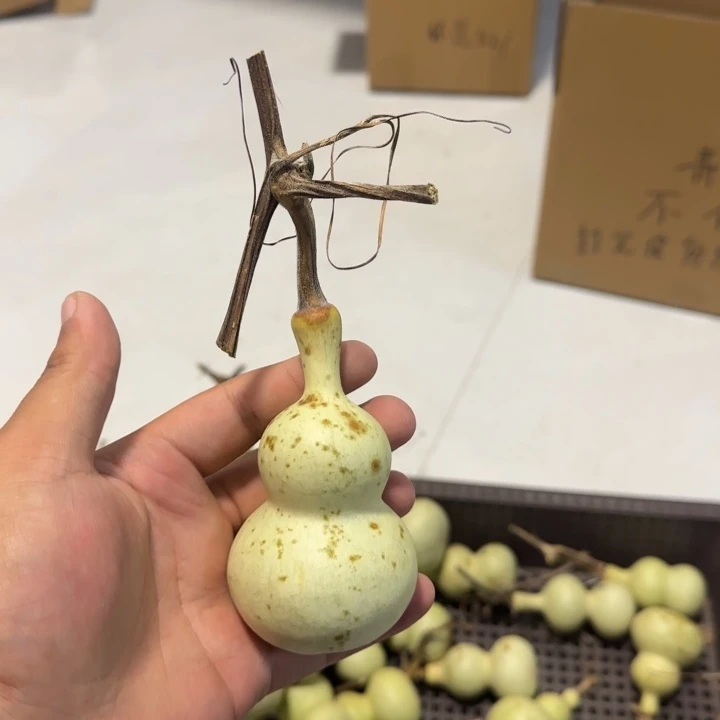 @***三感谢大哥支持兄弟，不保成