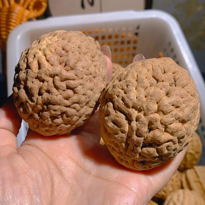 野生三瓣脑纹大金刚5263