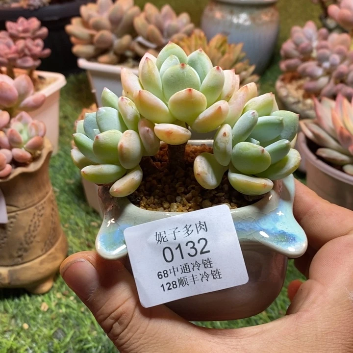 0132啊啊啊啊啊啊啊啊啊啊