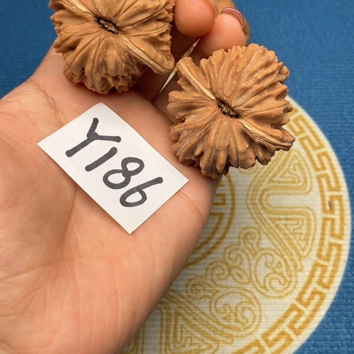 文玩核桃把件核桃