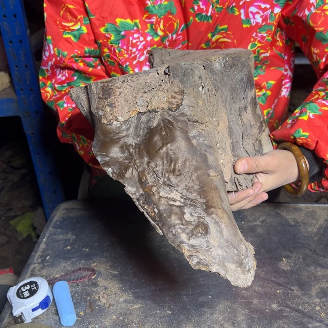 积***极金丝楠22222222222222222222222