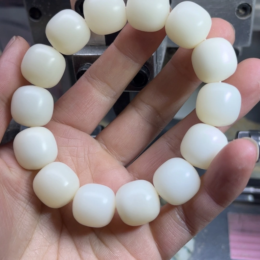 手串菩提根/象牙果