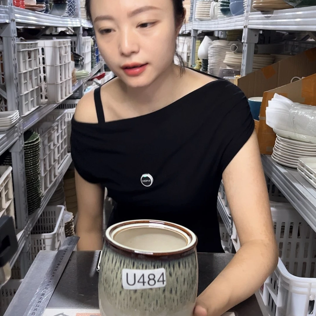 瓷片484            2个