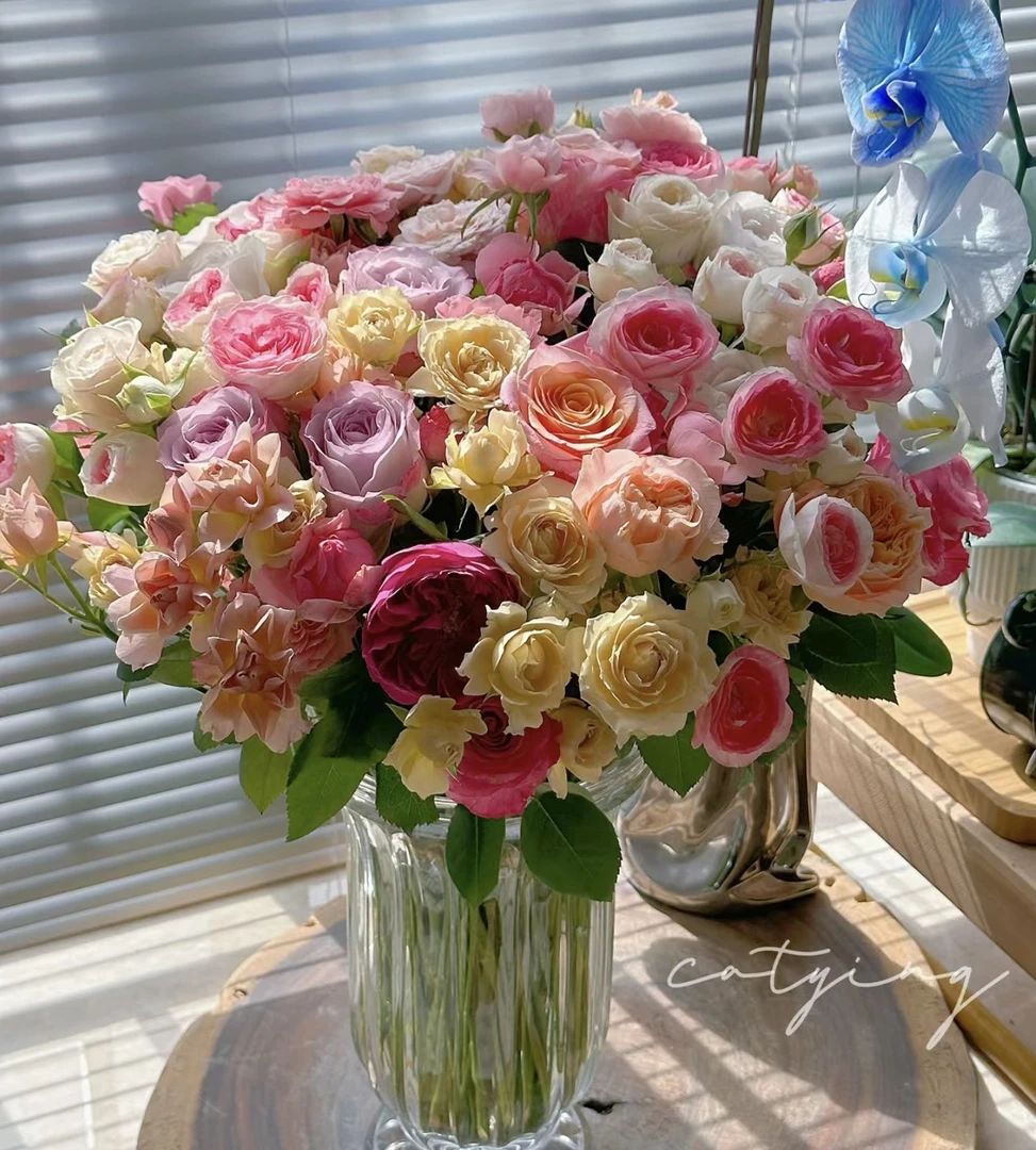 【混装色多头玫瑰10支 】已发货不支持退款换货