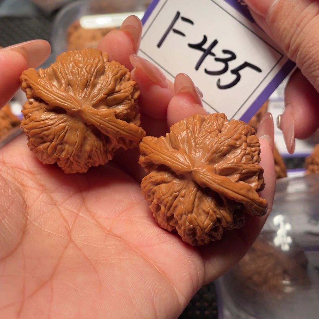 把件文玩核桃435号白狮子42