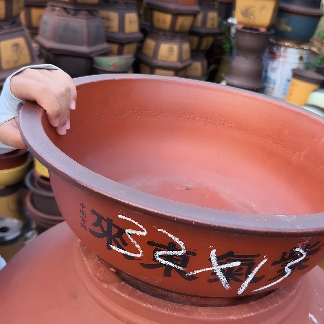 小红花盆花盆花盆花盆花盆
