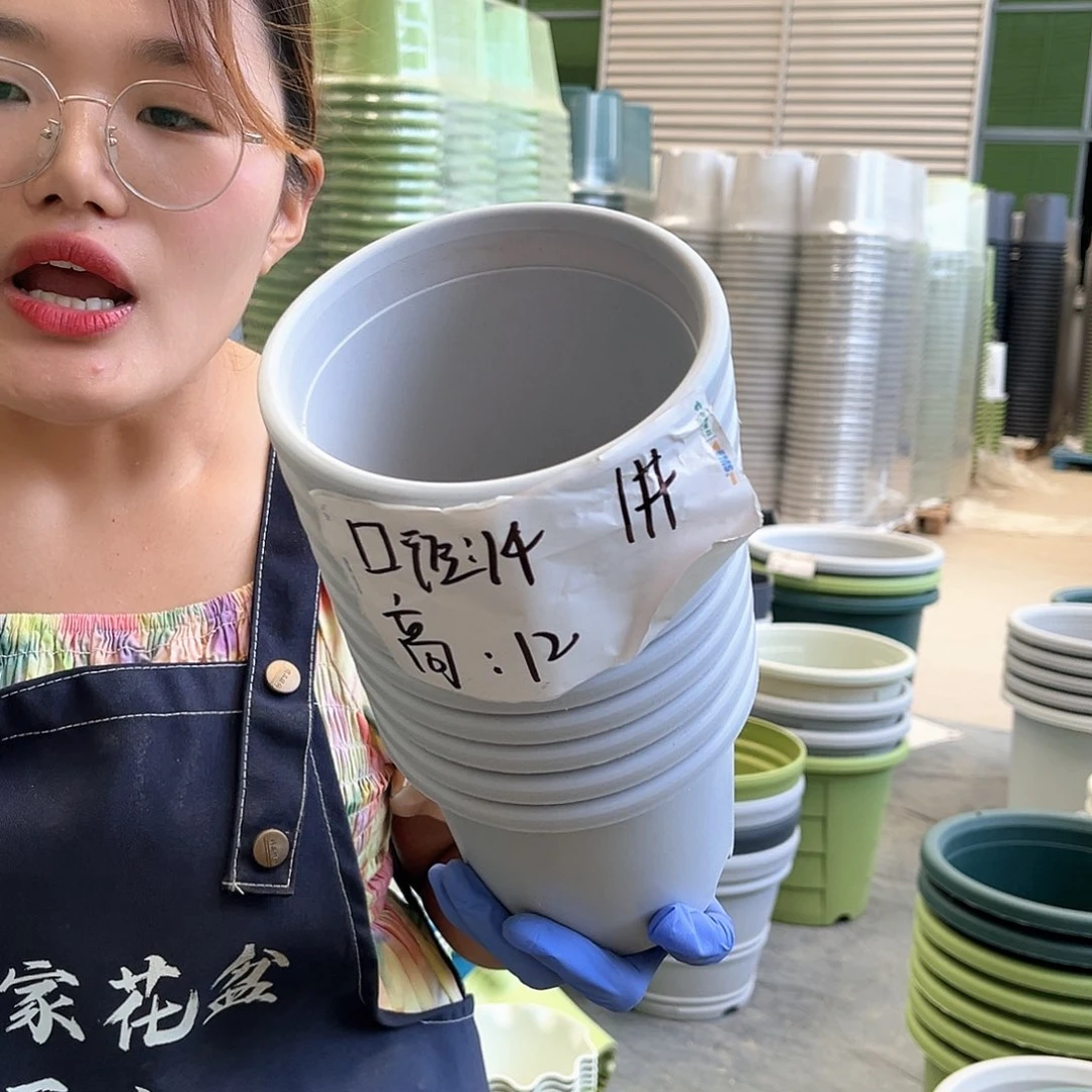 四季盆1#灰白色10个无托