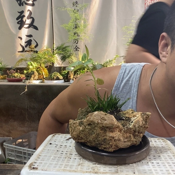 无花朵退款拉黑拉黑126