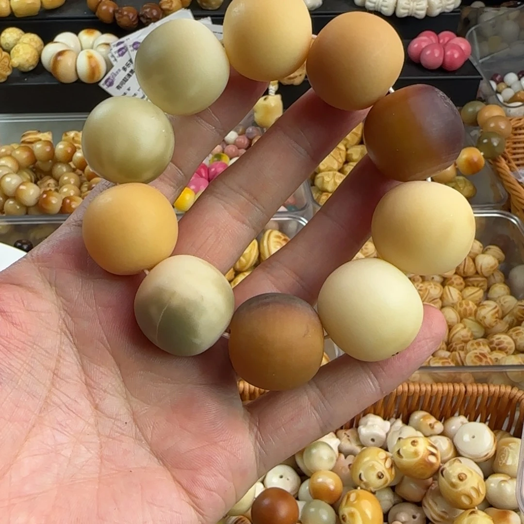 何***白吊坠菩提根/象牙果瑕疵1条无售后
