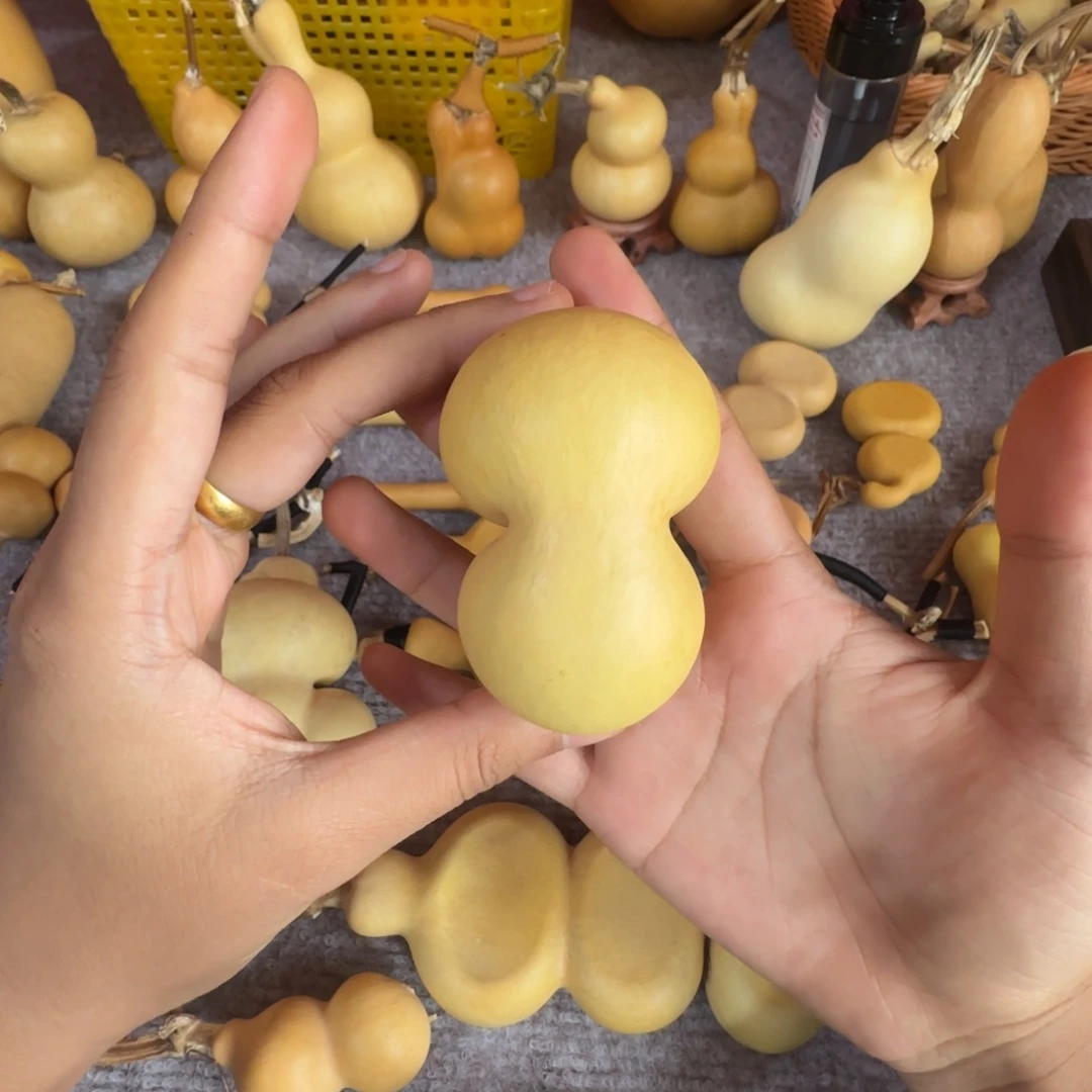 東*浪哈哈我也想要这个小可爱啊哈哈不错的节目我喜欢