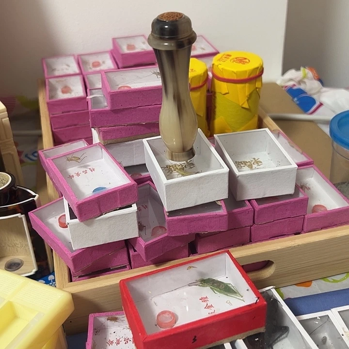 大***子2柬埔寨1大黄哈哈哈
