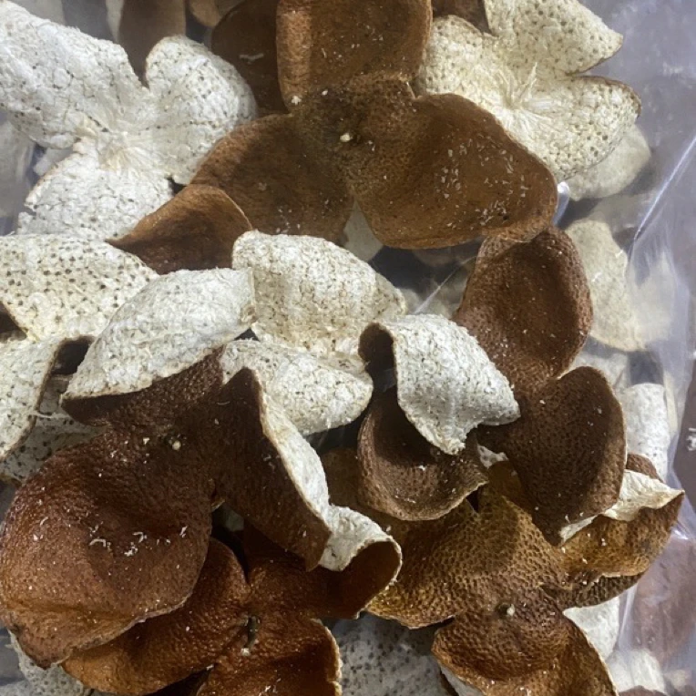 2024浦北平睦良村茶枝柑老树冬后大红皮（自然生晒）