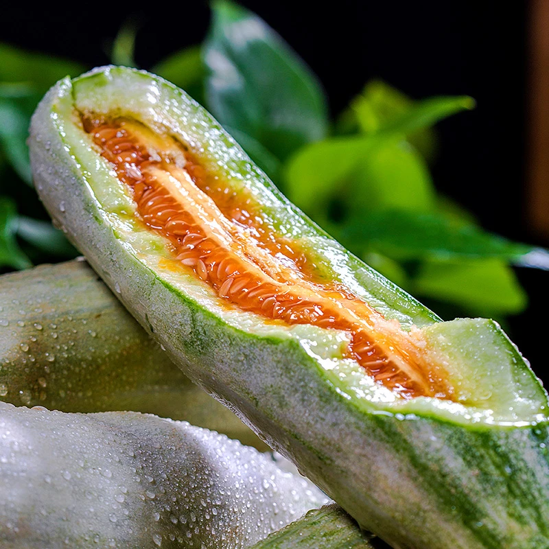 山东头茬羊角蜜甜瓜脆甜多汁应季水果新鲜现摘现发