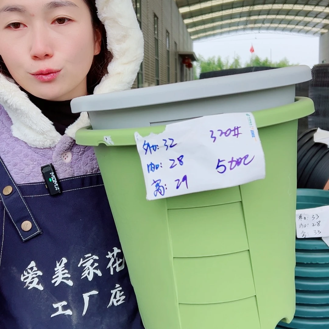 玫瑰盆320#果绿5个无托