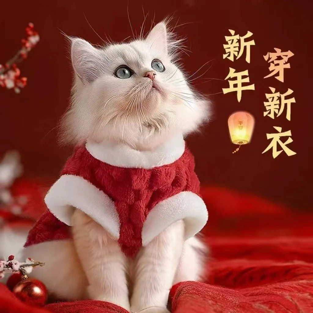 猫咪衣服秋冬保暖布偶德文蓝猫银渐层公主风马甲冬装可爱冬天棉衣