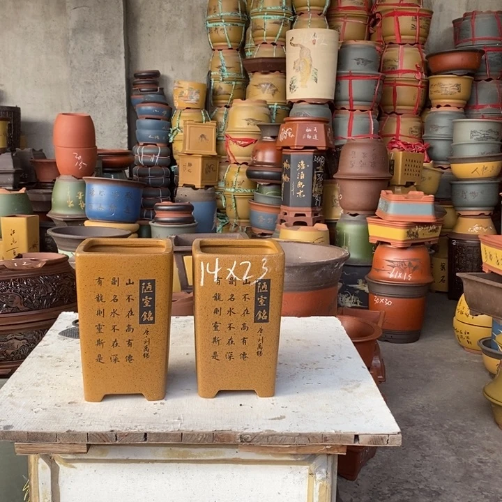 紫砂花盆盆栽花卉苗木种植