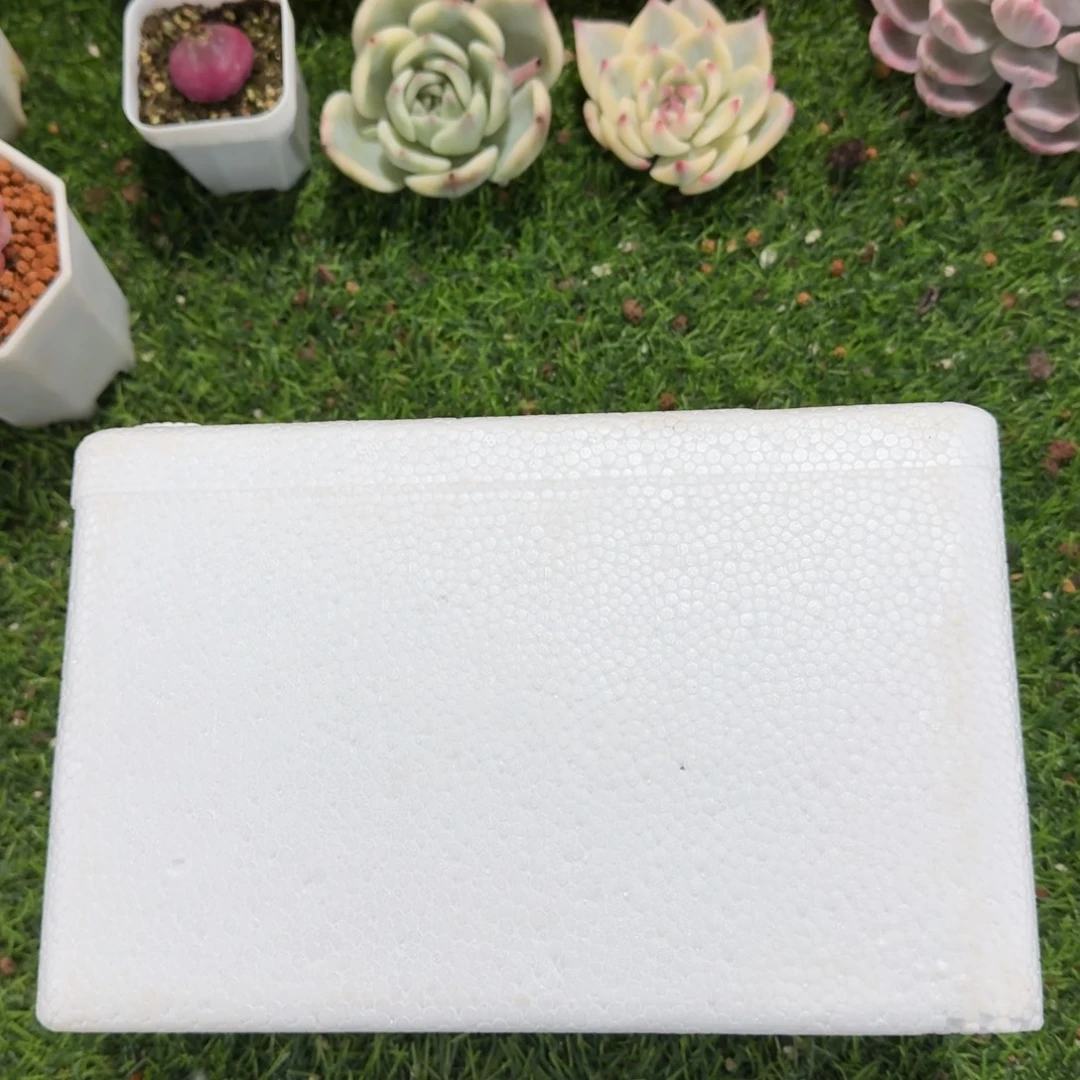 零下必拍多肉植物保温箱