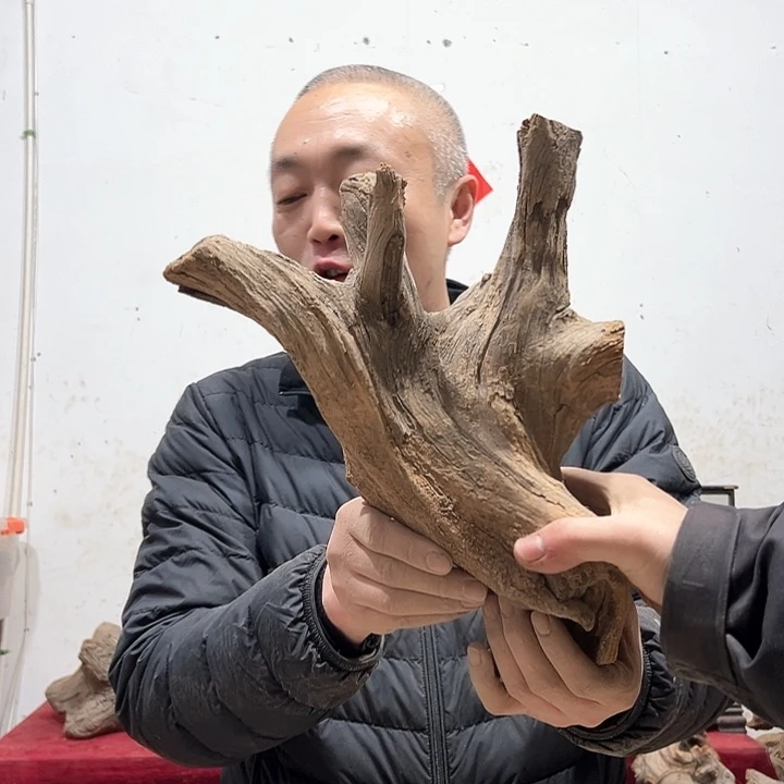 柏木落**悔我们都是好孩子呀打