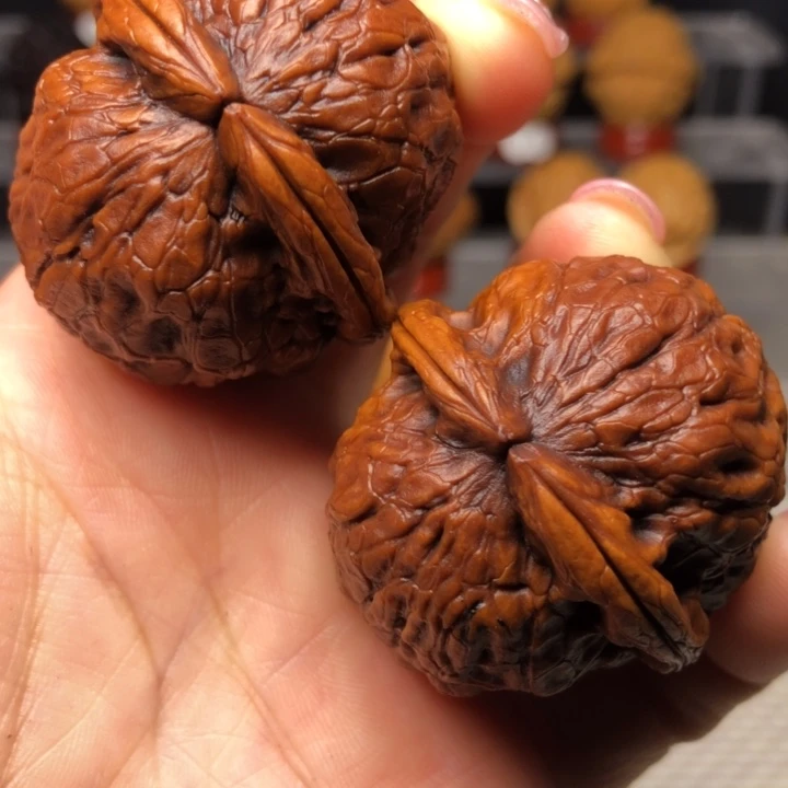 把件文玩核桃53金龟玉甲