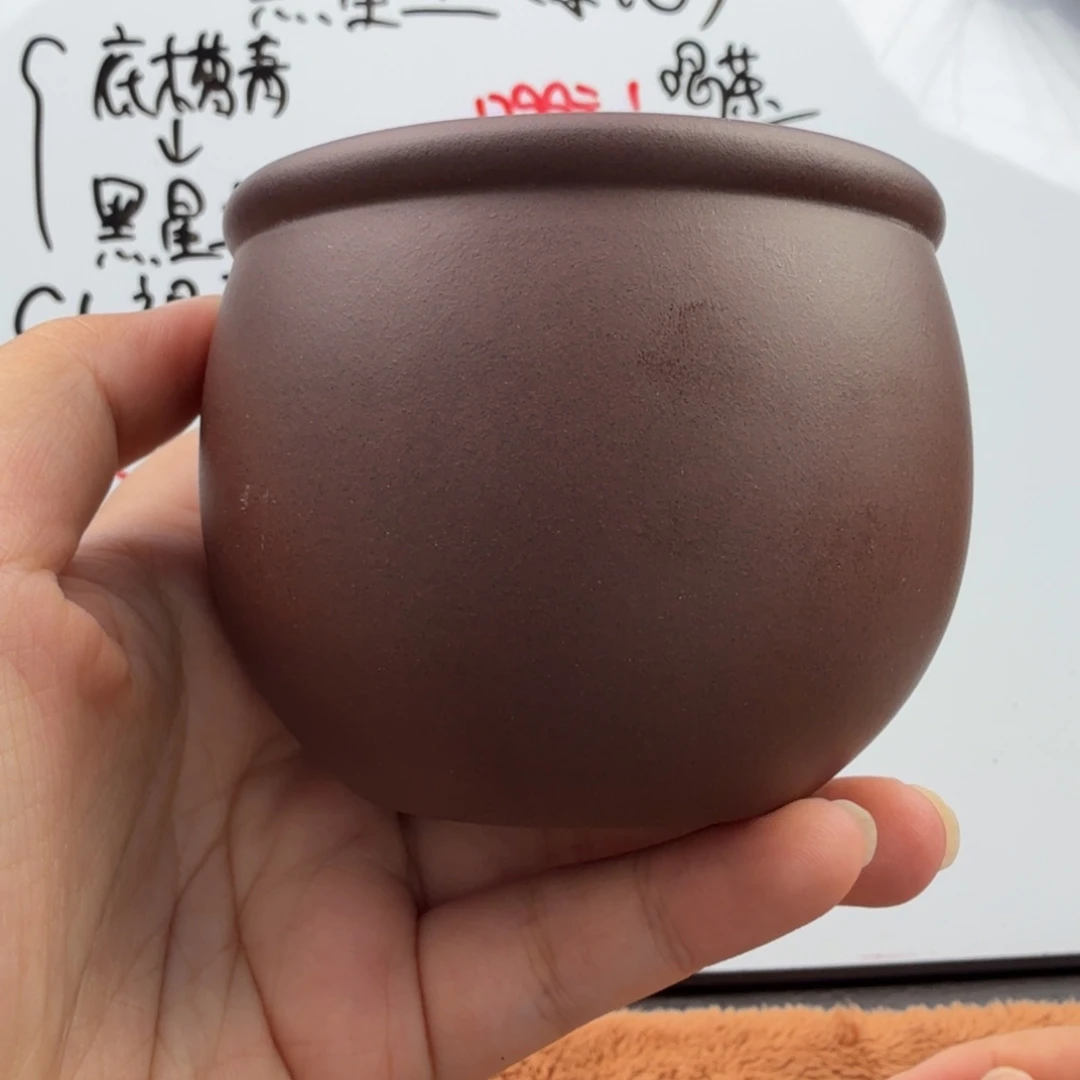 紫砂茶壶宜兴原矿黑星土