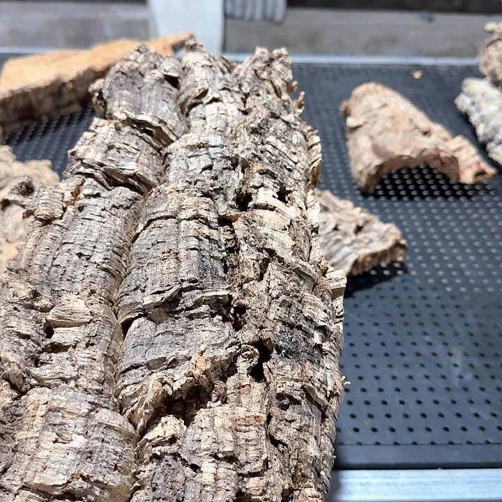 志***锅完全开放一物一拍一物一发