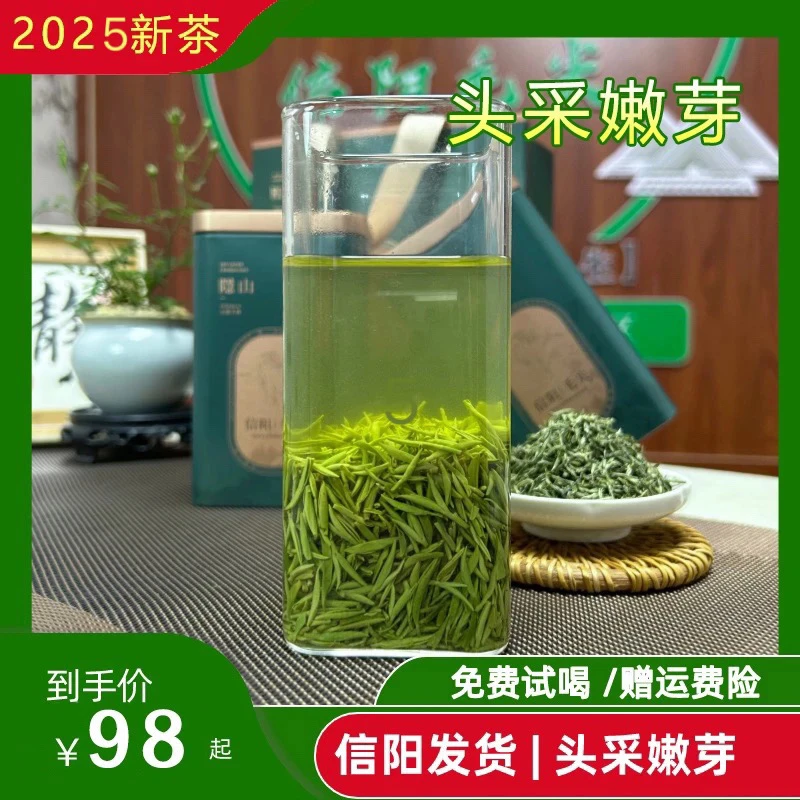 2025年新茶信阳毛尖头采小嫩芽兰花香送人自喝