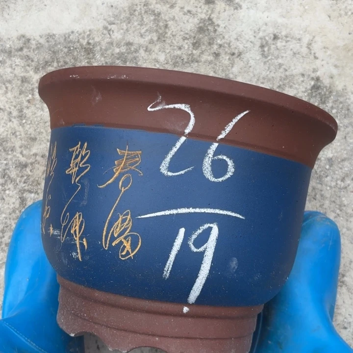 紫砂花盆紫砂的花