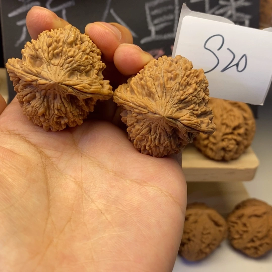 S20满天星41+白茬无修