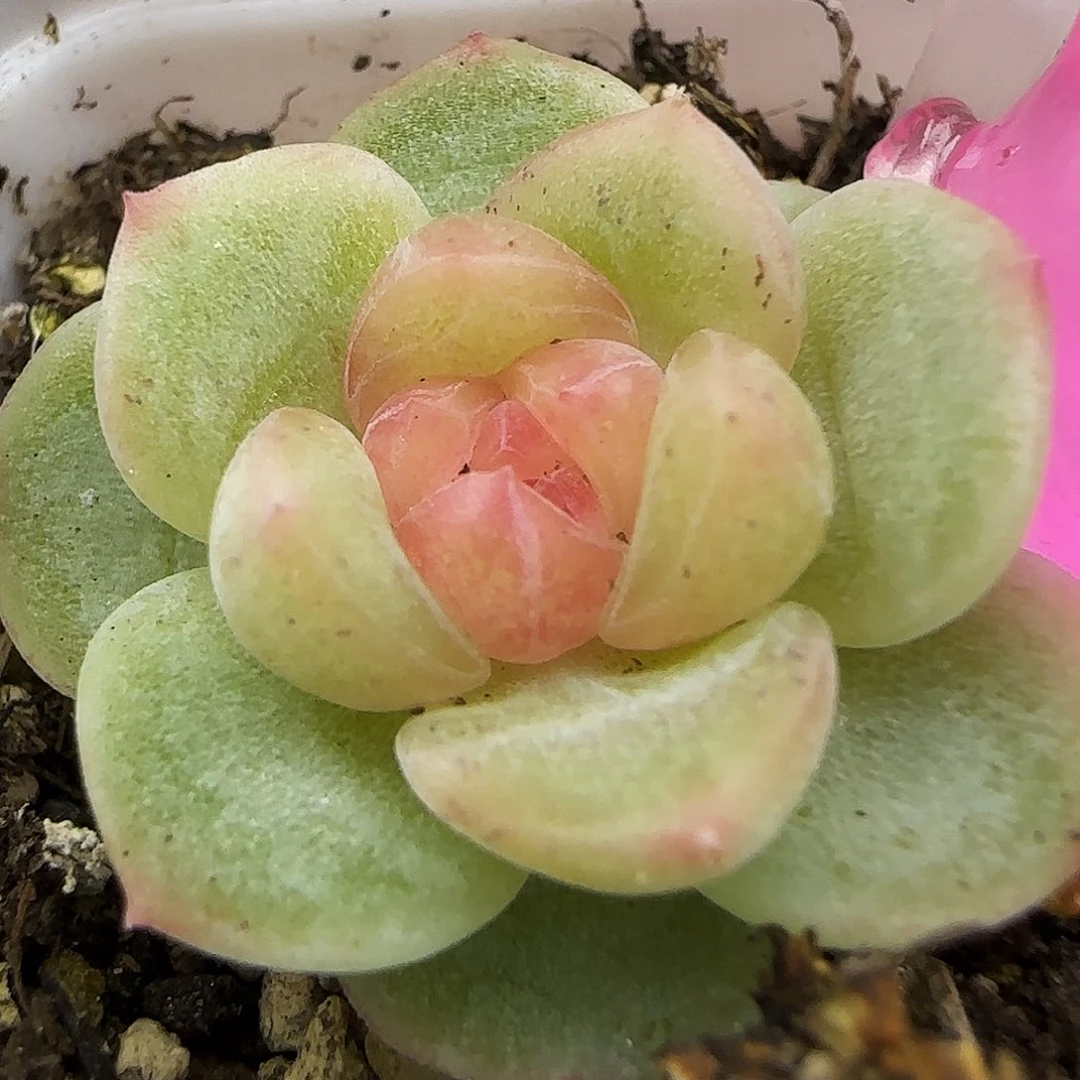 755号哈哈哈哈哈哈