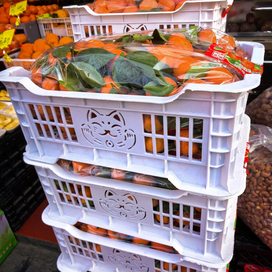 广西沙糖桔约12斤