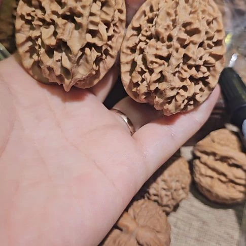 文玩核桃吊坠41招财鼠