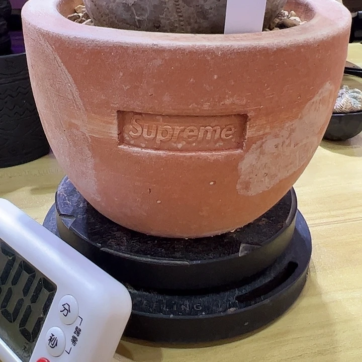 ?***了sup盆娇娇娇娇娇娇娇娇家