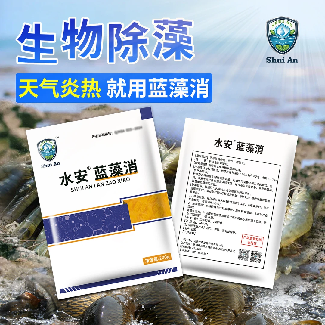 水安蓝藻消水产专用除藻裸甲藻绿藻水质调节蓝藻清除生物分解蓝藻