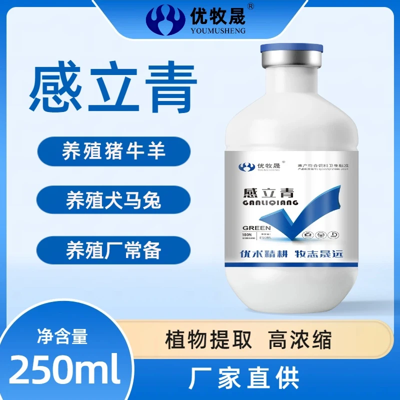 【感立青】猪牛羊感冒兽用感康畜禽通用液态饲料添加剂提取物