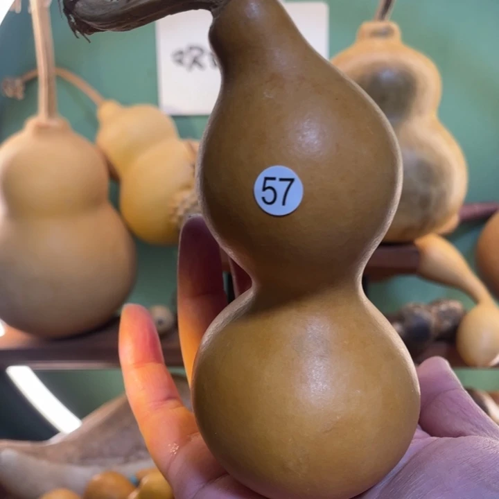 看好下单不保龙头