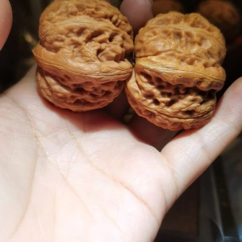 猴头核桃吊坠43元宝