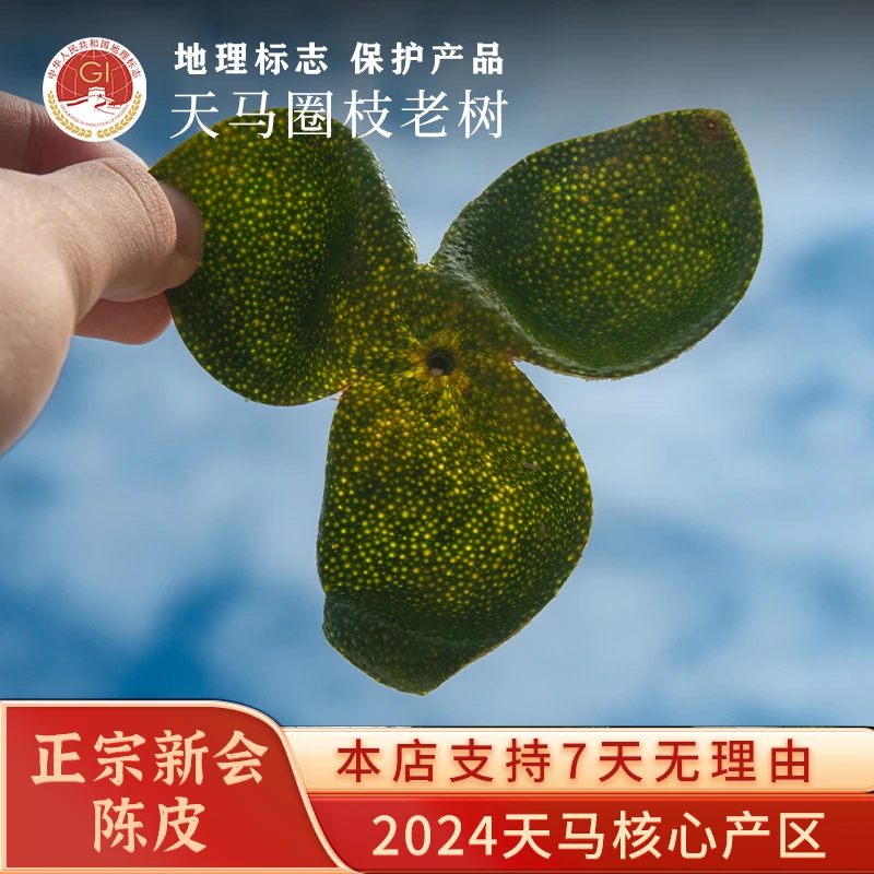 【2024年天马圈枝新会青皮】正宗新会陈皮干仓圈枝健康自然日晒500g