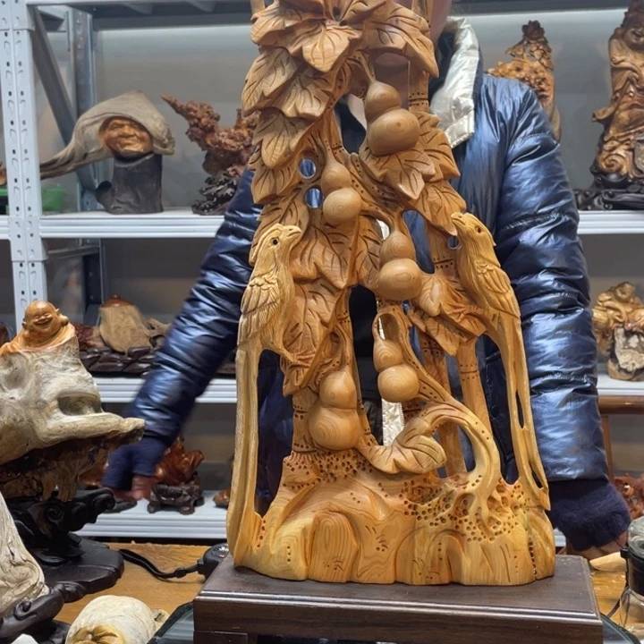 柏木（崖柏）太行崖柏