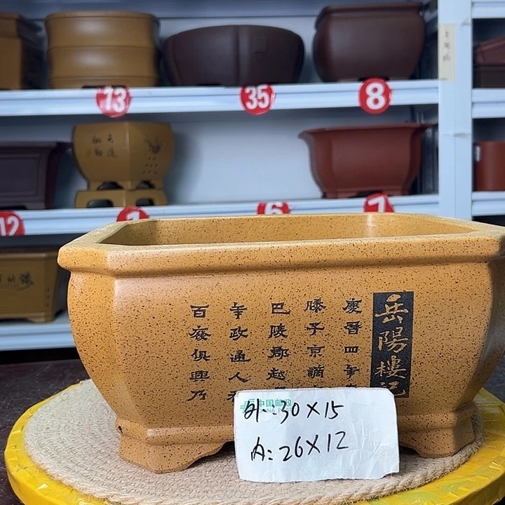 花盆紫砂蛇年大吉