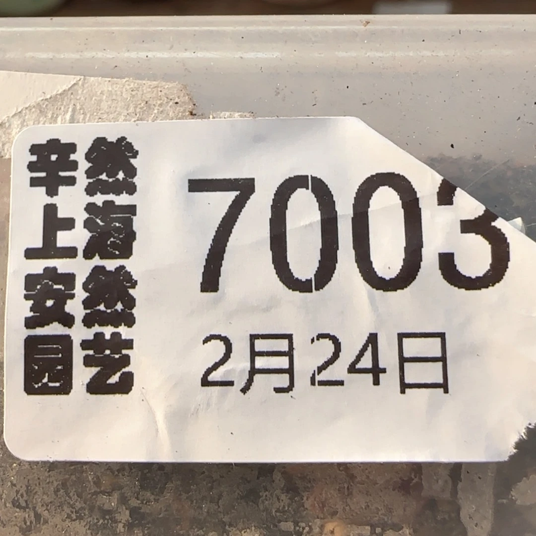 用****42。24。7003。火柴