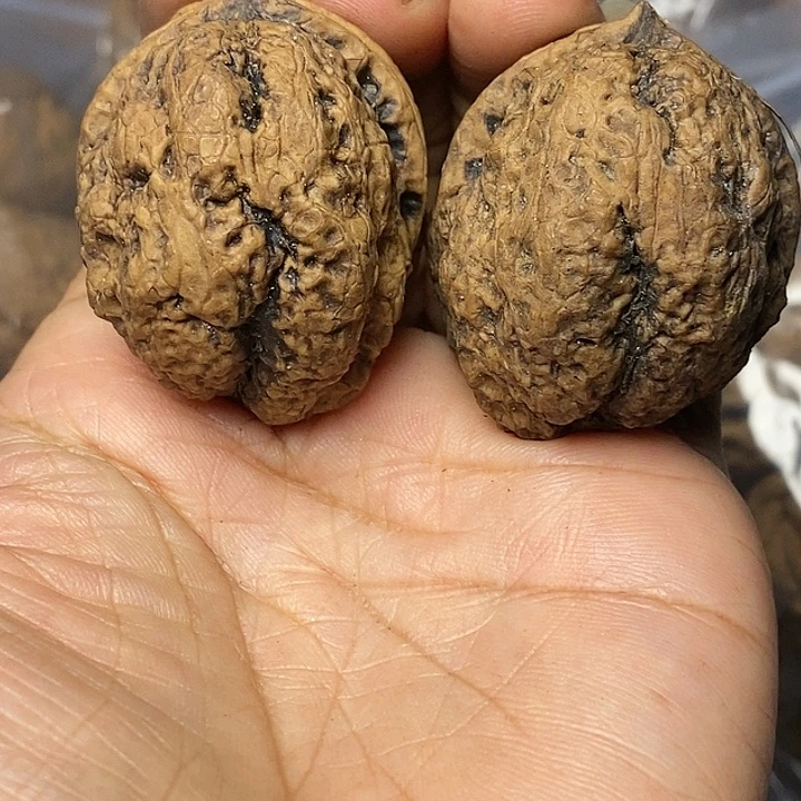 把件文玩核桃云南铁核桃69