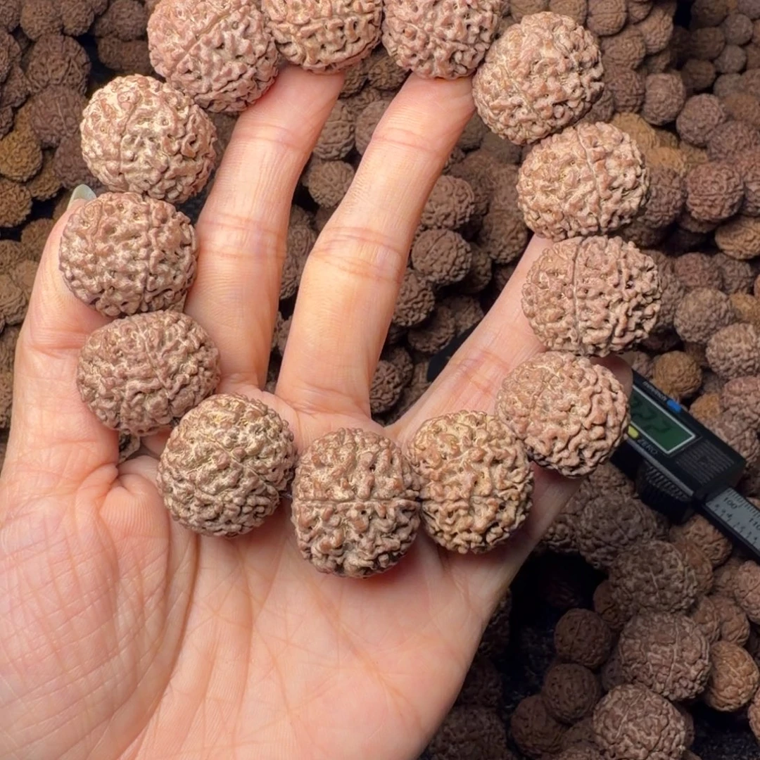 金刚菩提手串8瓣卡23尺，67号