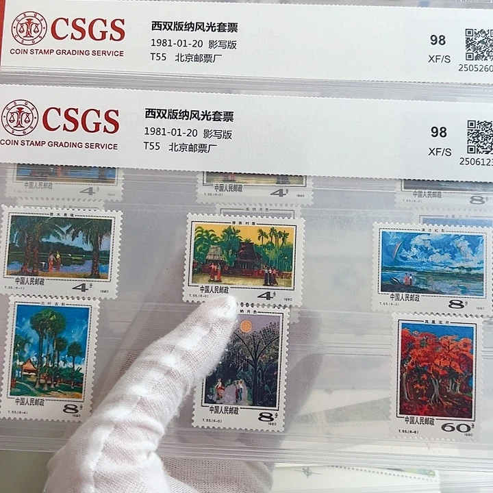 T55版纳套票评级98