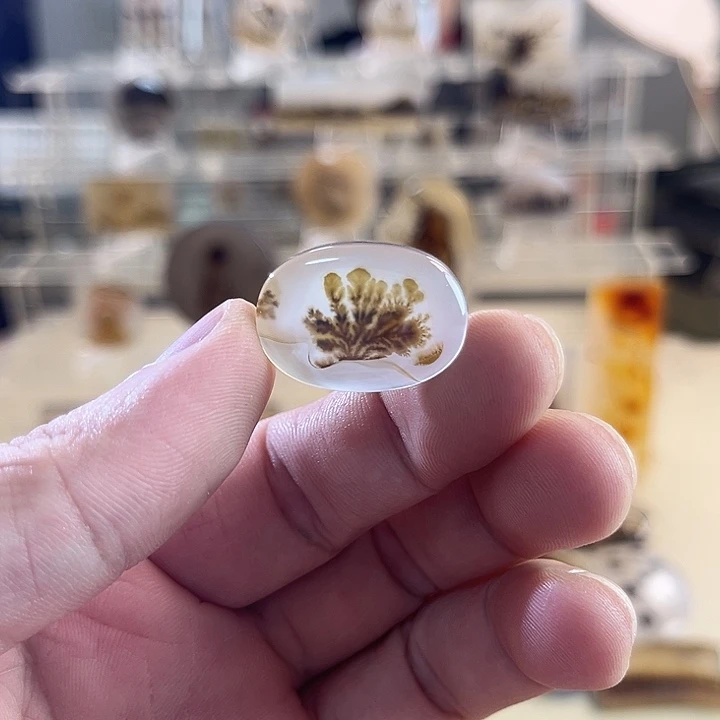 未镶嵌吊坠(不含链)玛瑙/玉髓