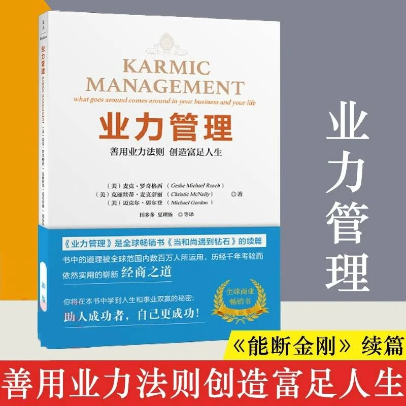 业力管理 《能断金刚》续篇 善用业力法则创造富足人生 书籍