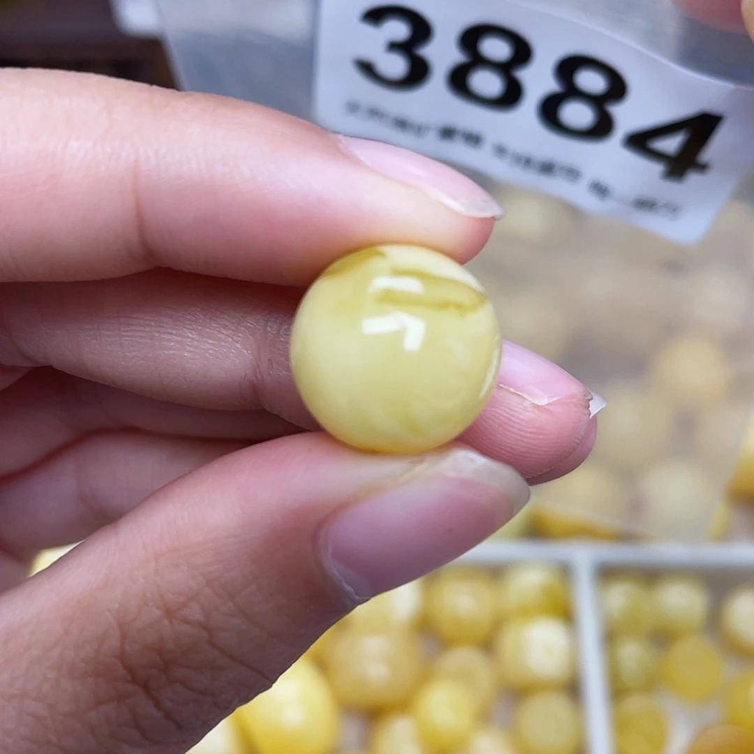 蜜蜡未镶嵌珠宝奇石14.3植物
